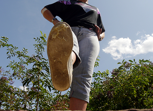 Melanie Crushing Shoe